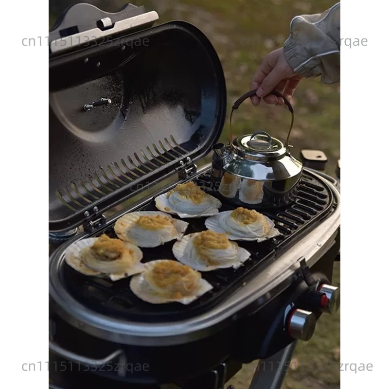 Outdoor Indoor Gas Cooking Sto - Camping Cooking Range recension och pris